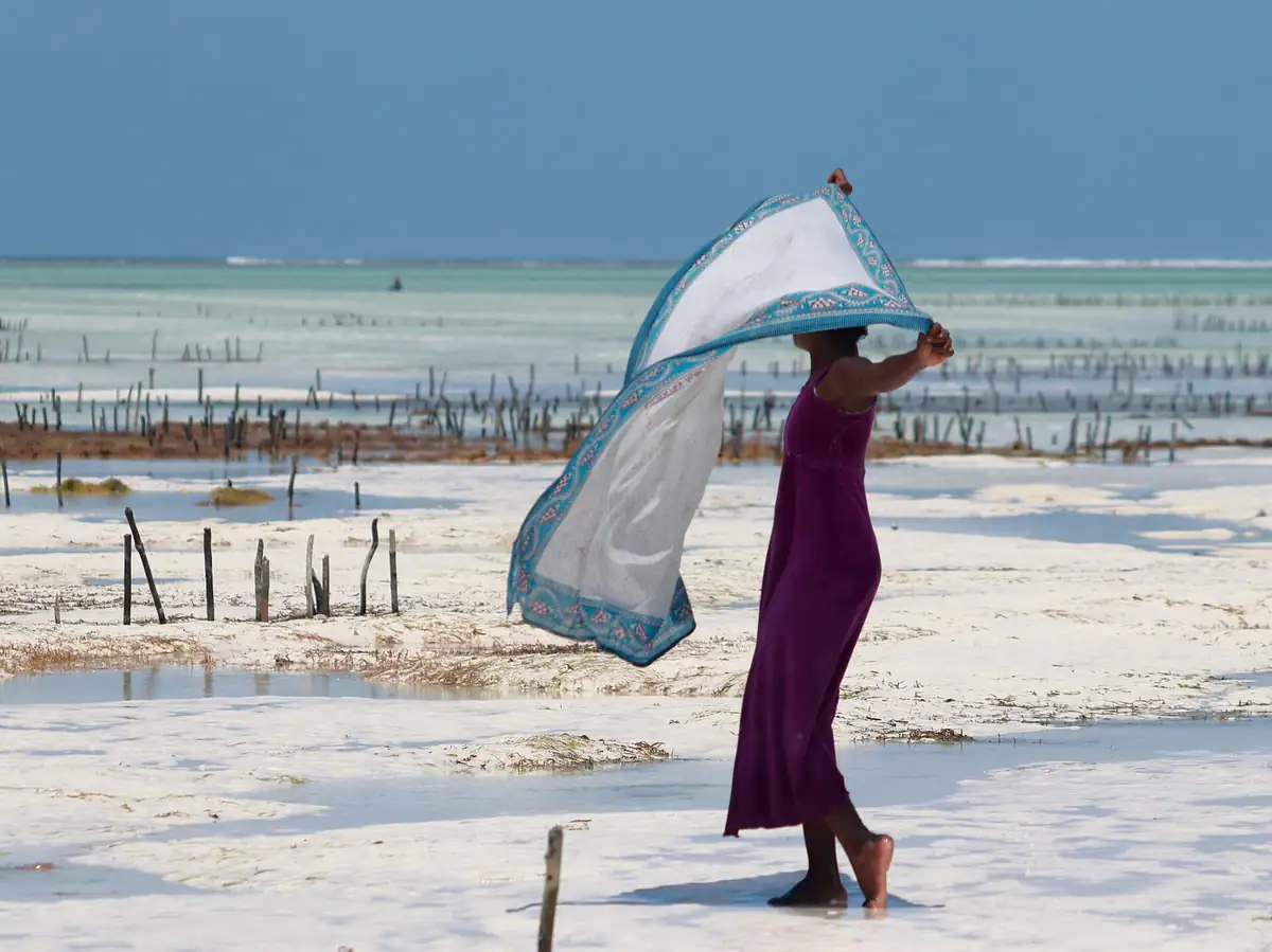 A woman on the exposed tidal flat at Paje at low tide