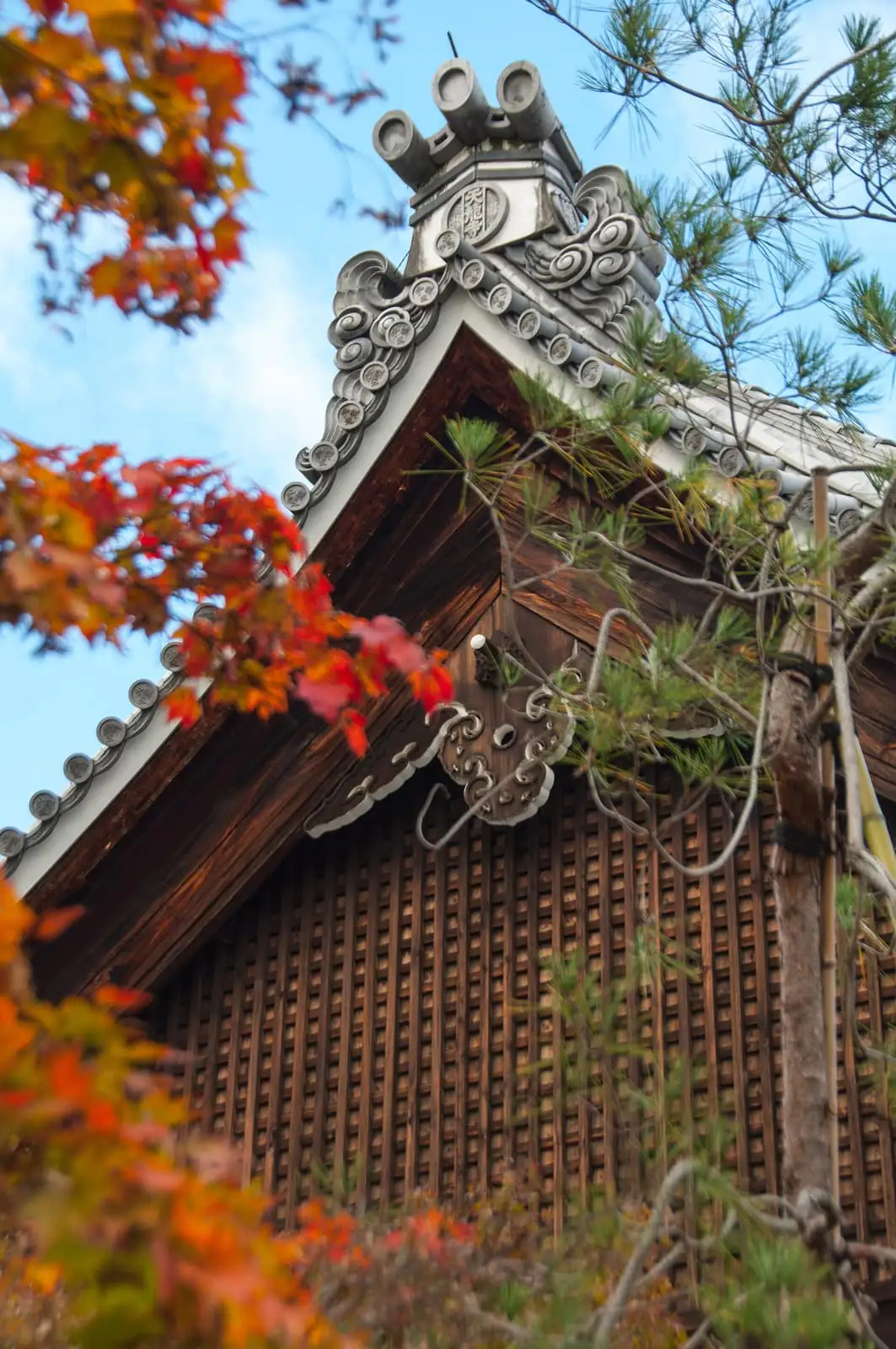Autumn colour at Tenryu-ji Temple in Kyoto