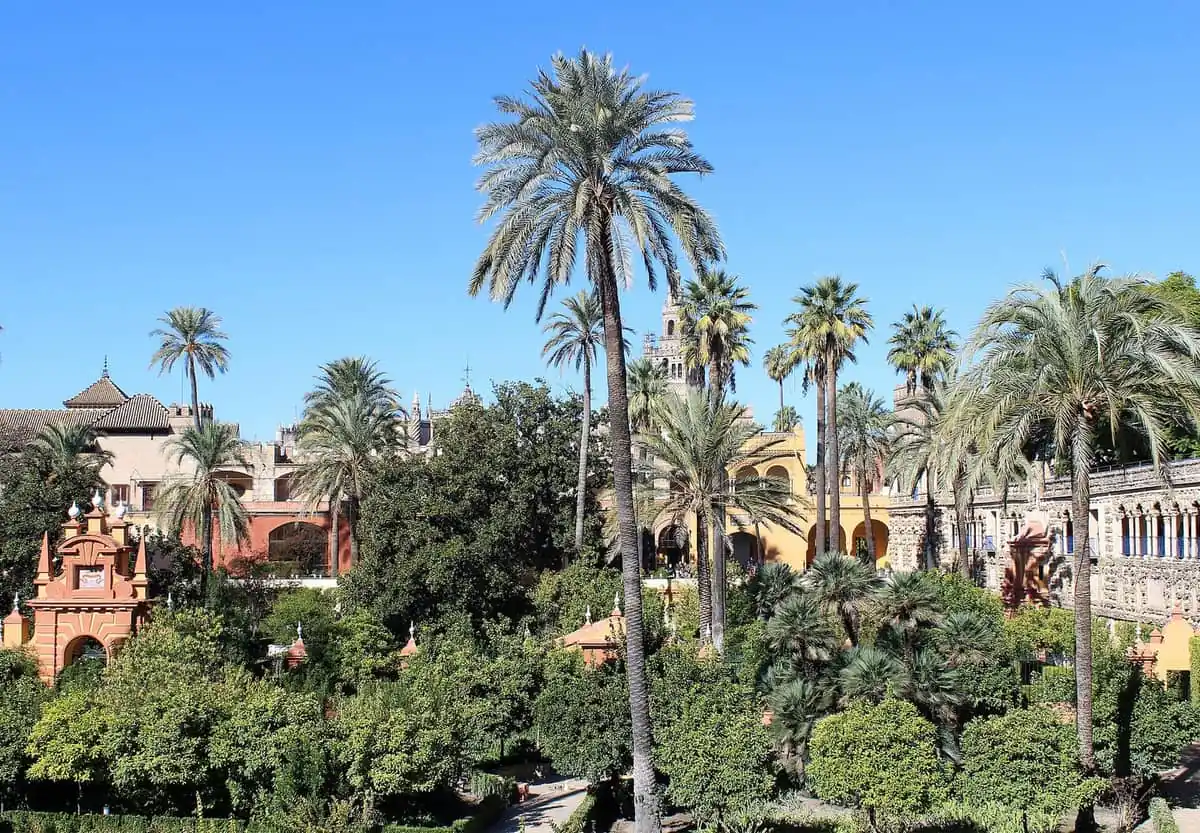 Palm trees and gardens of the Alcazar in Seville under a clear sky