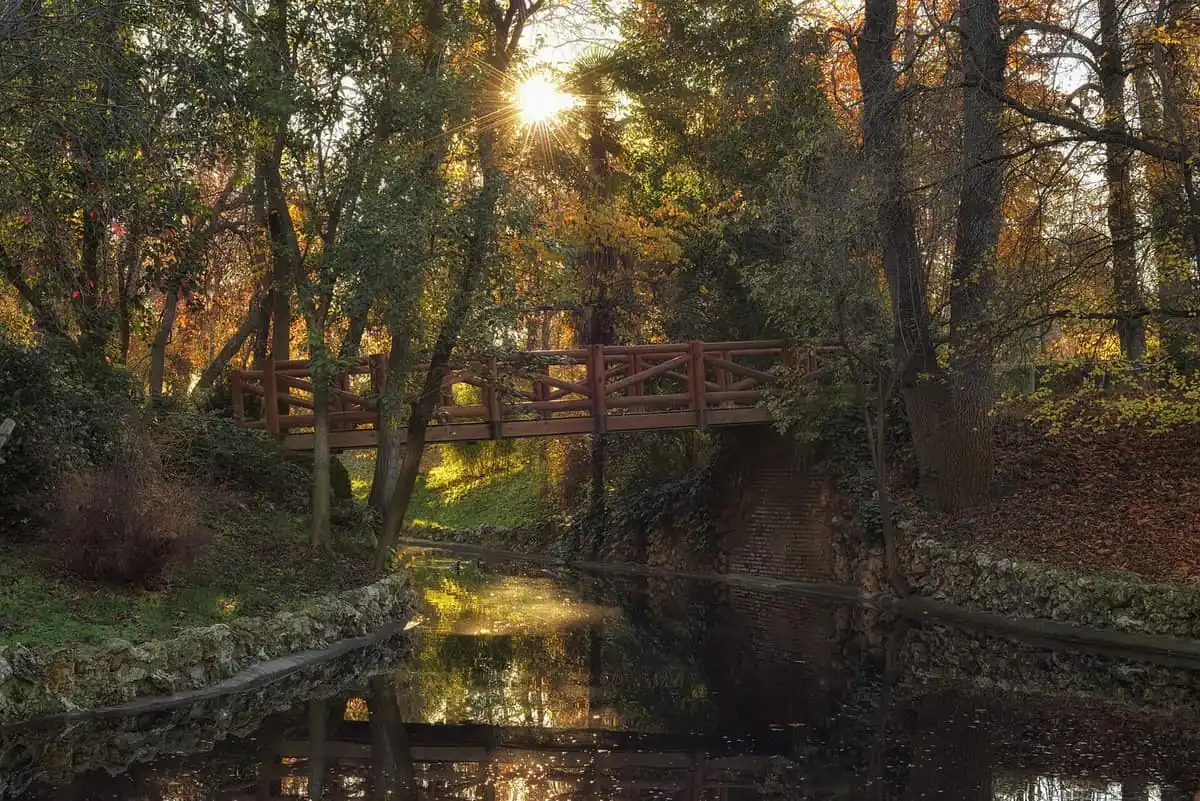 A wooden footbridge over still water in Retiro Park, Madrid, in autumn