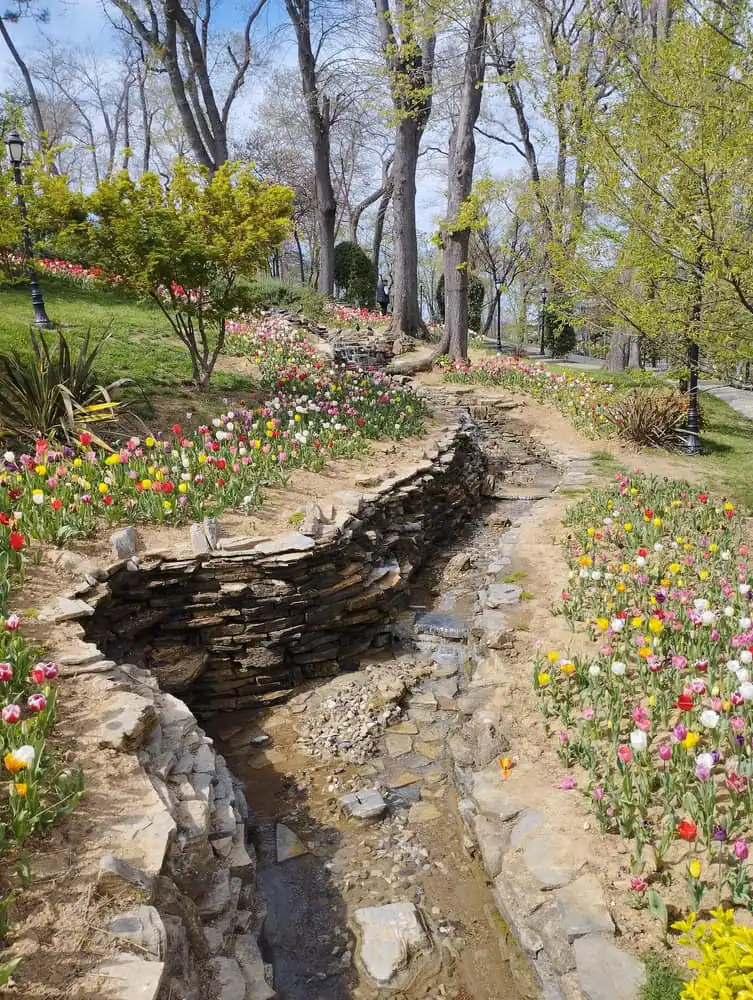 Rows of colourful tulips lining a stone stream bed in Emirgan Park in spring
