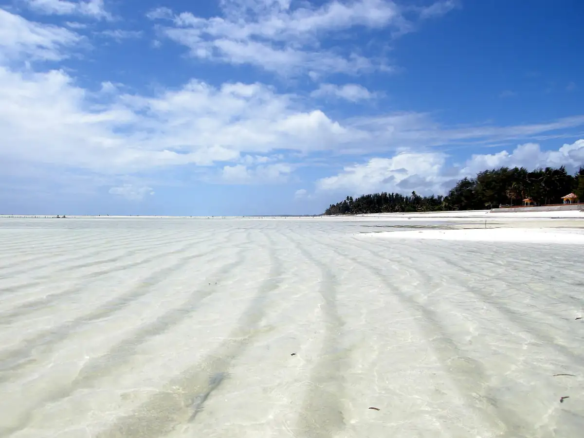 Shallow tidal flats stretching to palm trees and beach shelters at Paje