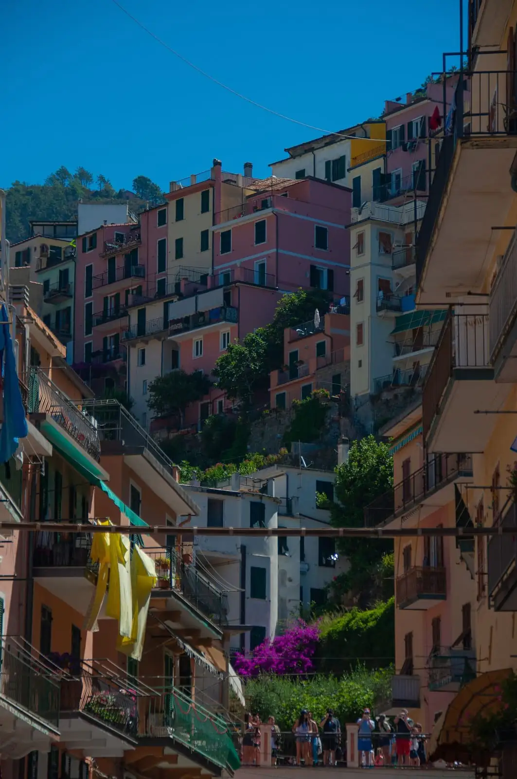 Pastel houses climbing a hillside above a narrow lane in Manarola