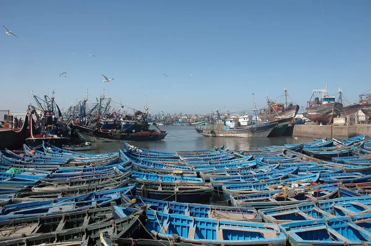 Fishing boats painted blue, packed side by side in the harbour at Essaouira