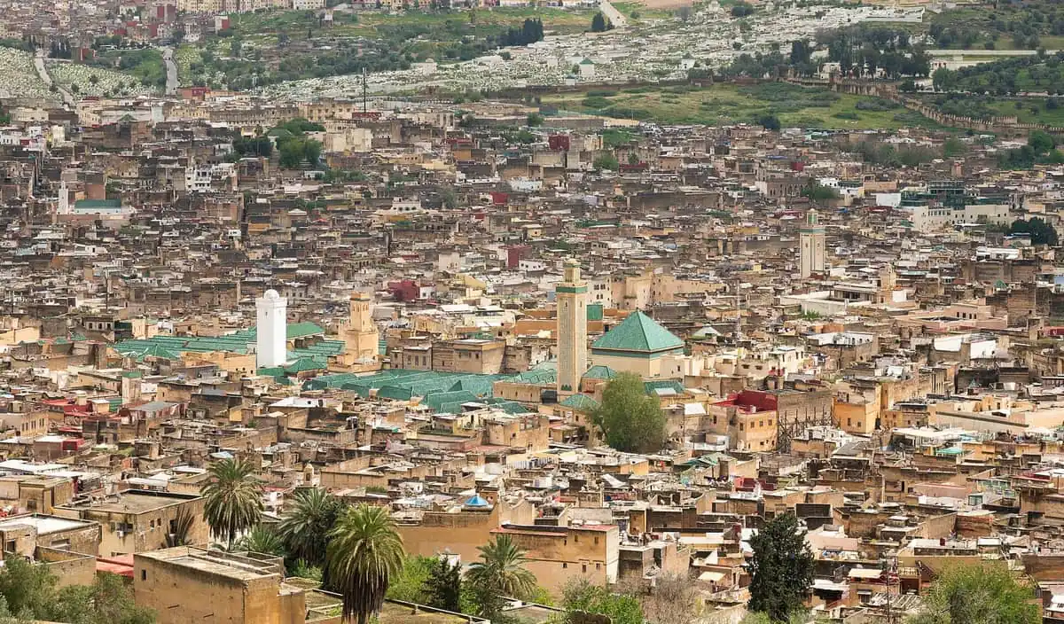 The dense rooftops of the Fes el-Bali medina with green-tiled roofs, minarets and palm trees