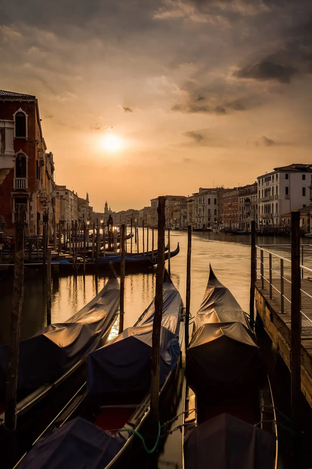 Covered gondolas moored on the Grand Canal in Venice at sunrise