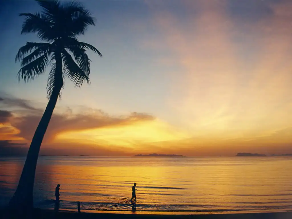Sunset over Lipa Noi beach on Koh Samui with a palm tree silhouette and the Ang Thong islands on the horizon