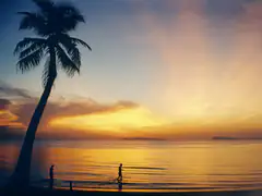 Sunset over Lipa Noi beach on Koh Samui with a palm tree silhouette and the Ang Thong islands on the horizon