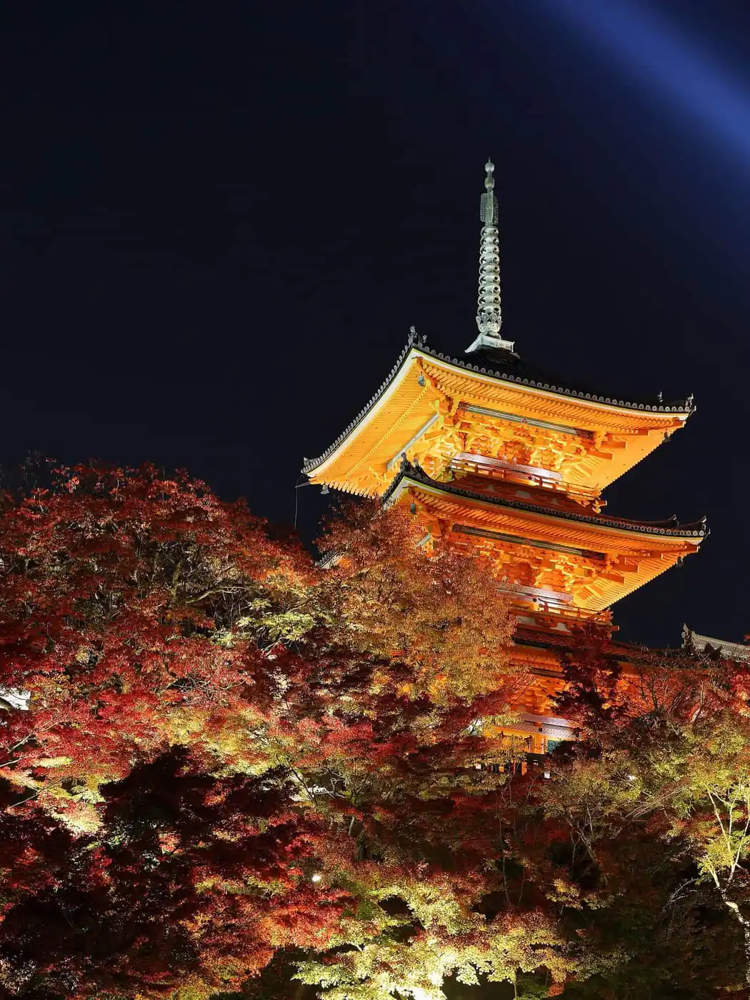 A temple pagoda in Kyoto lit up at night among autumn leaves