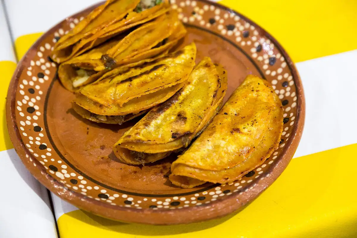 Crisped quesabirria tacos on a clay plate