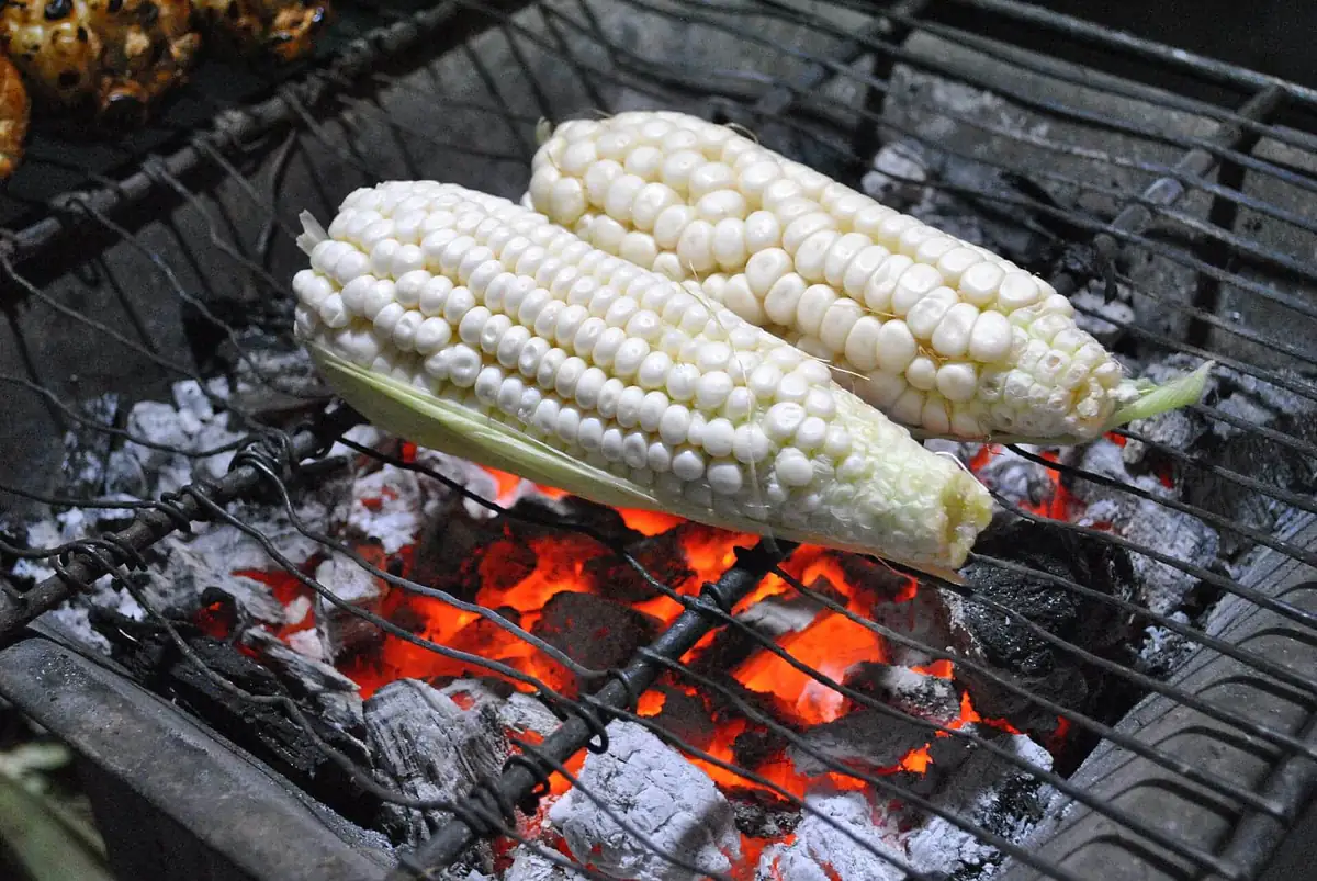 White corn grilling over coals