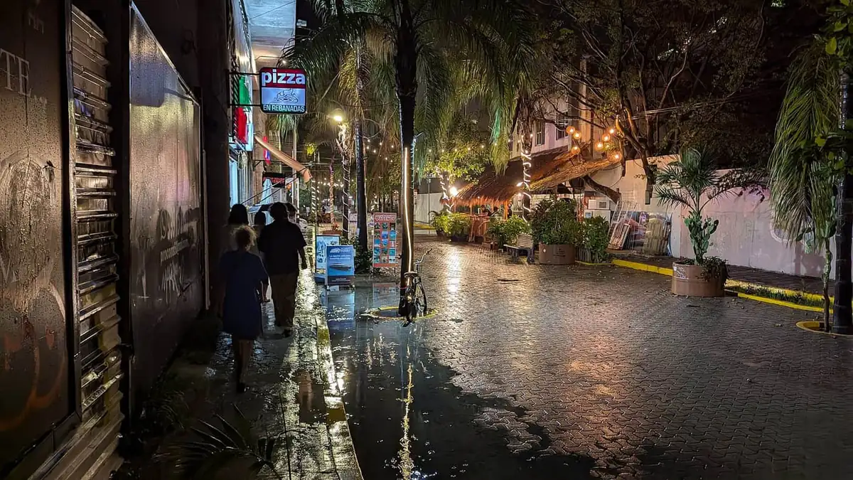 Quinta Avenida at night after rain