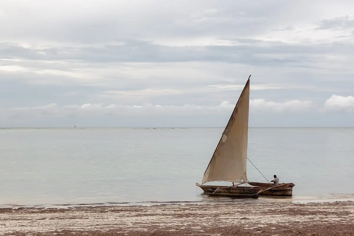 A wooden sailing dhow close to shore with seaweed on the sand