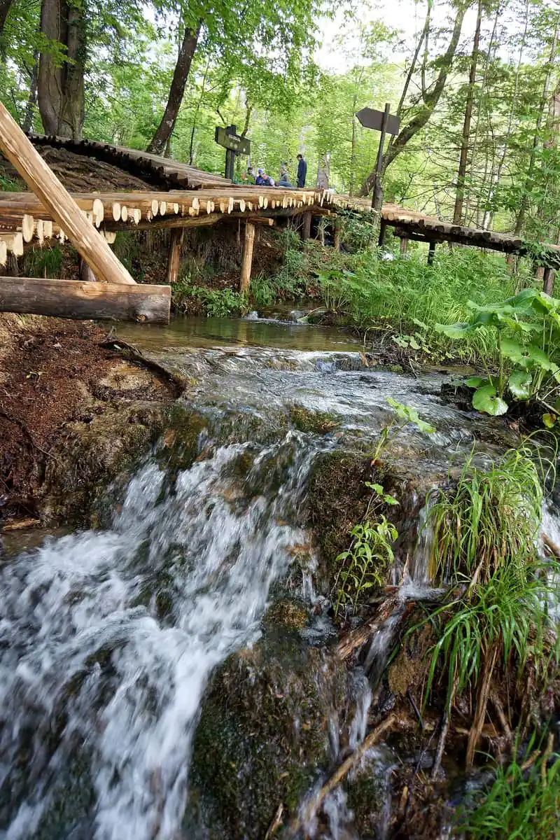 Walkers crossing the water on the lower boards