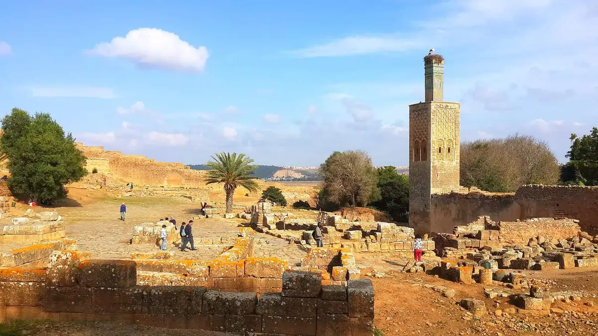 The Marinid minaret crowned with a stork nest above Roman ruins and cypress trees at Chellah