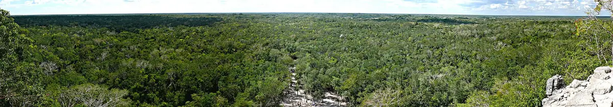 The jungle canopy from the top of Nohoch Mul at Coba