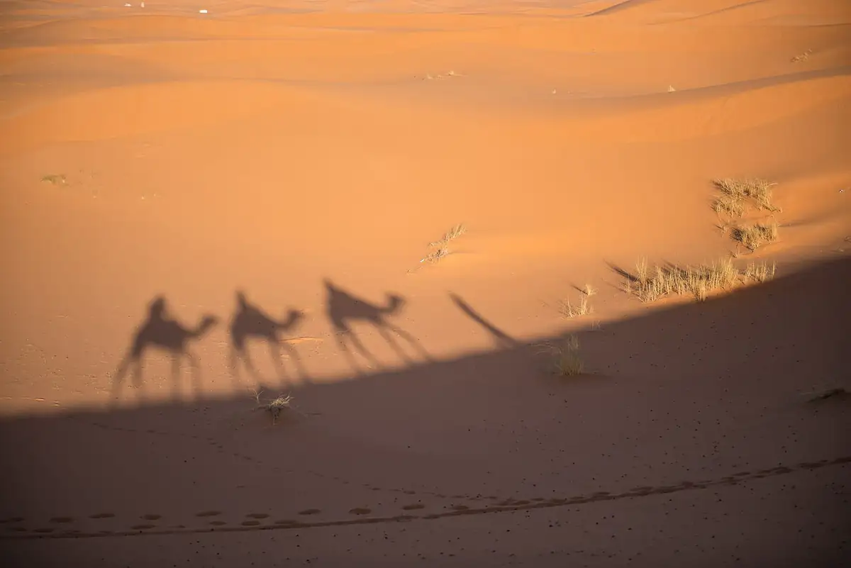 Shadows of three camels and riders cast across the sand of Erg Chebbi