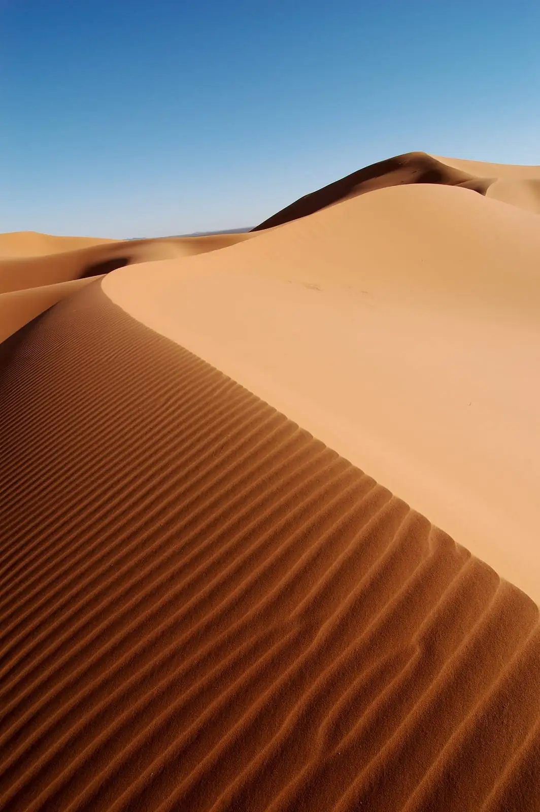 A rippled dune crest curving under a clear sky in the Moroccan Sahara