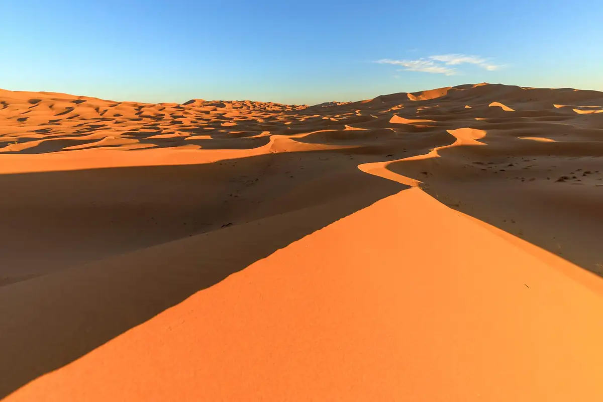 A sharp dune ridge glowing in low evening light at Erg Chebbi