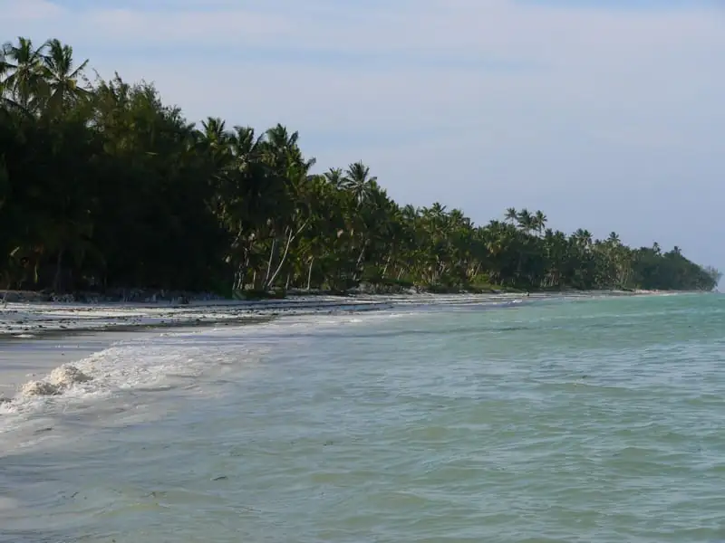 Gentle surf on the palm-fringed beach at Bwejuu at high tide
