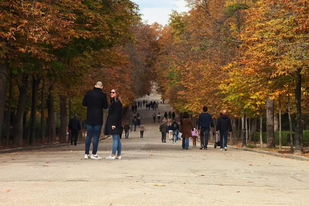 Autumn paths in Retiro Park, Madrid