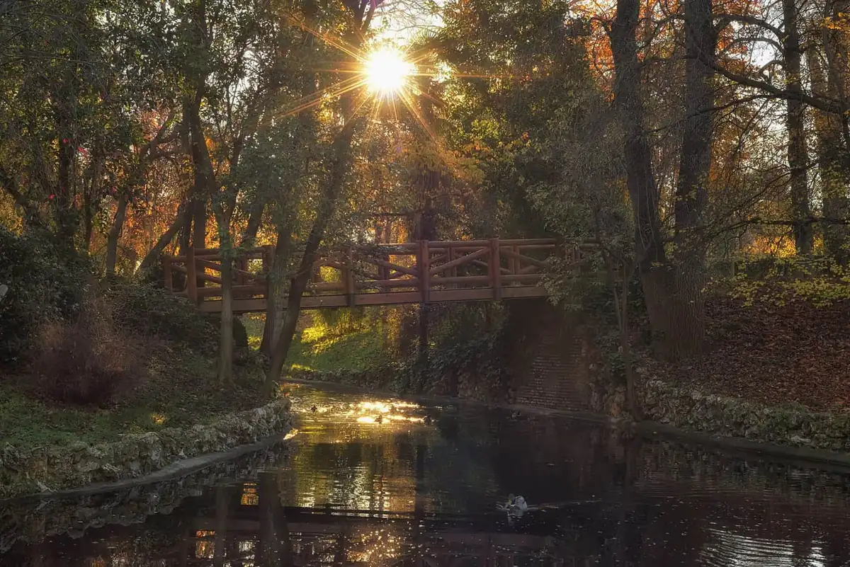 Sunlight bursting through autumn trees over a wooden footbridge crossing a calm stream in Retiro Park