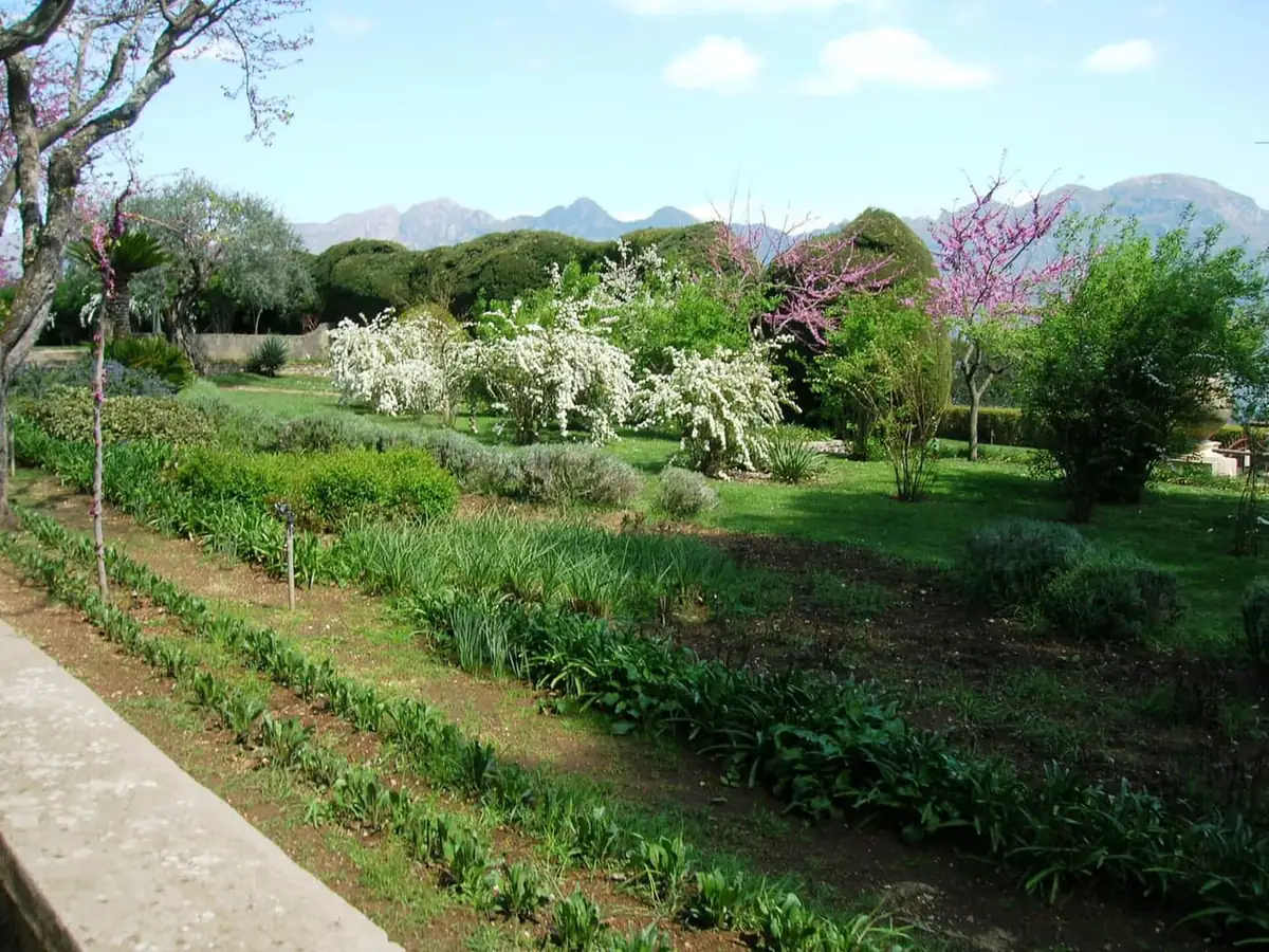 Flowering shrubs and lawns in the gardens at Villa Cimbrone in Ravello, with mountains behind