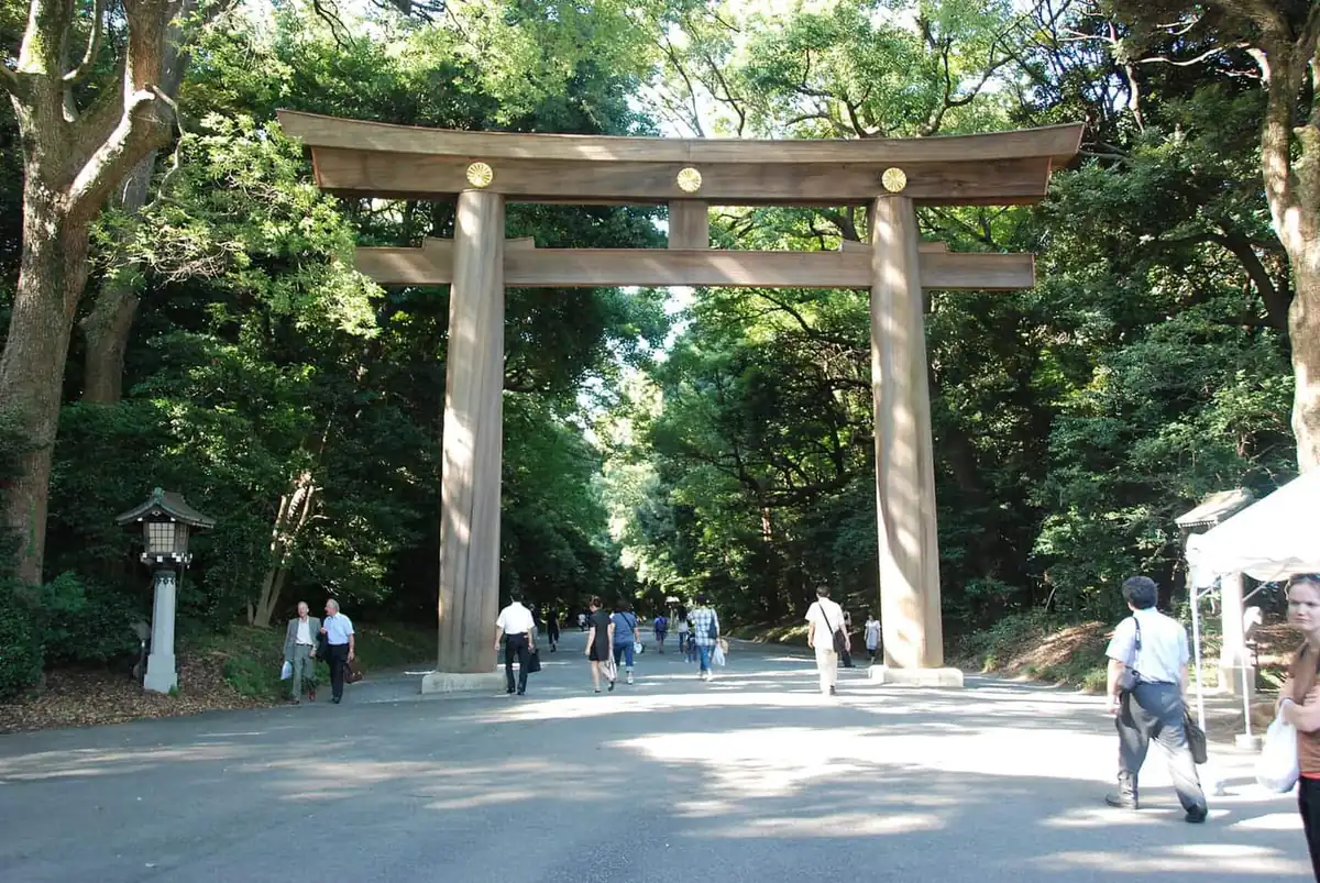 The large wooden torii gate at the entrance to Meiji Jingu, surrounded by forest