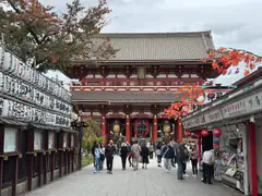Senso-ji Temple's Hozomon gate and five-storied pagoda in Asakusa, Tokyo, framed by autumn maple leaves