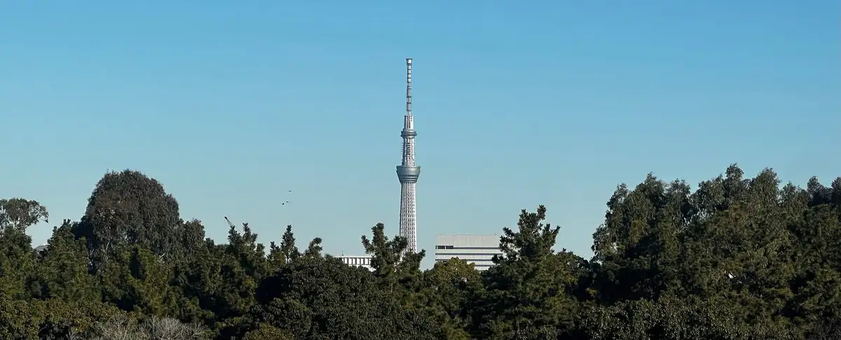 The Tokyo Skytree tower rising above a line of trees, seen from a distance