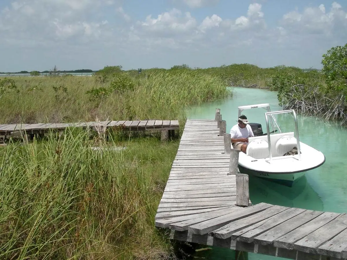 A small boat moored at a wooden dock in a mangrove channel with pale green water