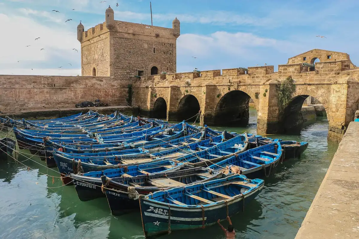 Blue fishing boats moored below the stone ramparts of Essaouira