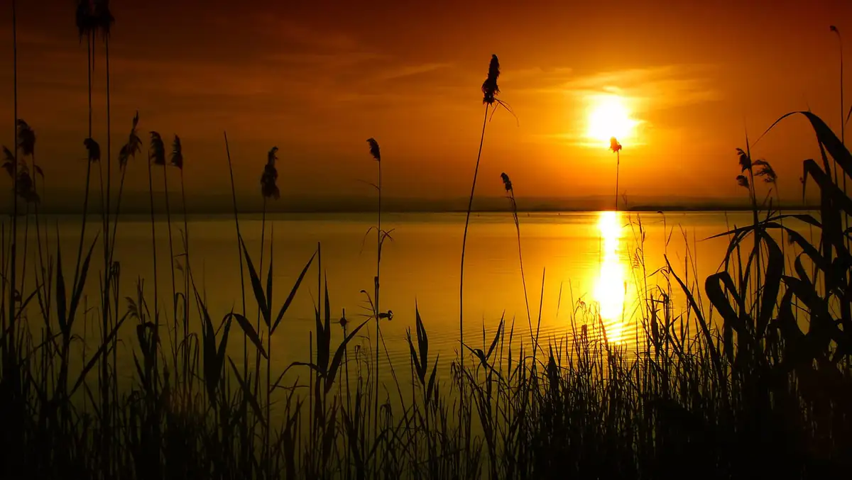 Sunset over the Albufera lagoon near Valencia, with reed silhouettes framing a golden sky on still water