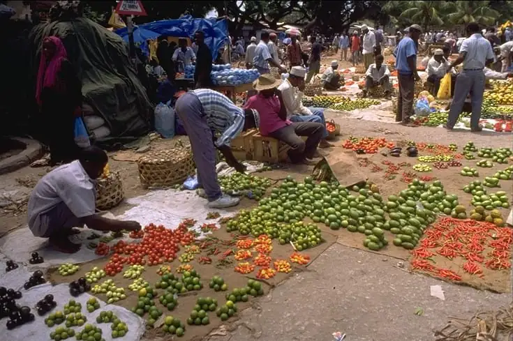 Vendors arranging tomatoes, limes and chillies on cloths at an open market
